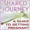 Complete Guide to Infertility and Adoption